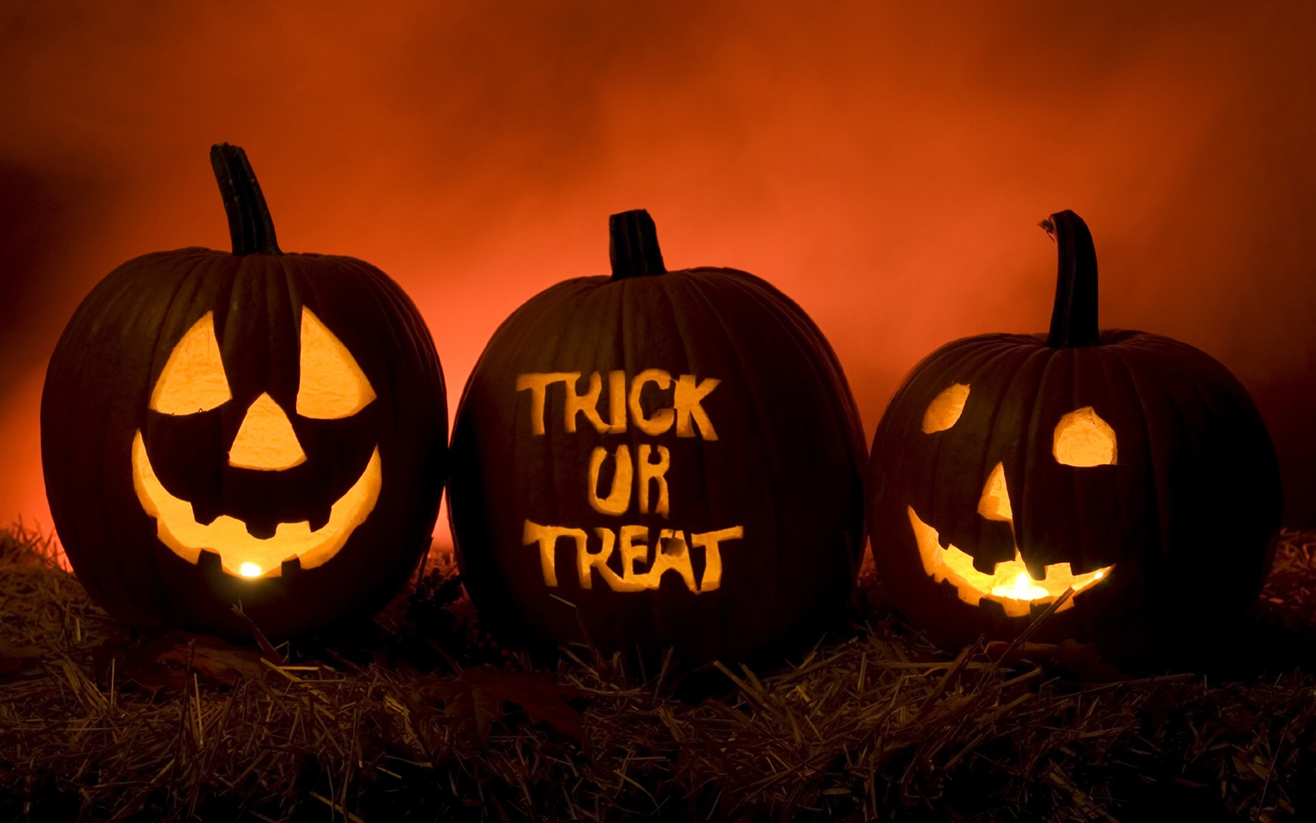 halloween pumpkins trick or treat 184014989001202 by @k424.