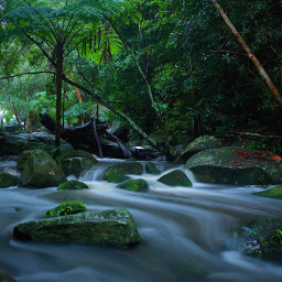 waterfall sydney australia green nature