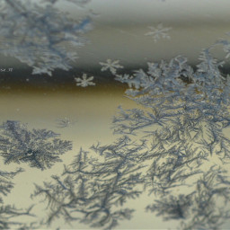 macro frozenwindow frosty winter