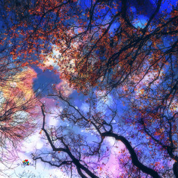 photography colorful hdr stars tree