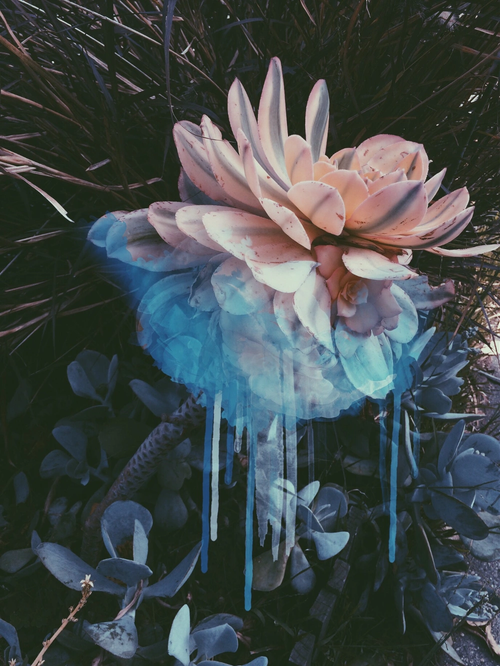 Magical flower 🌸 #clipart